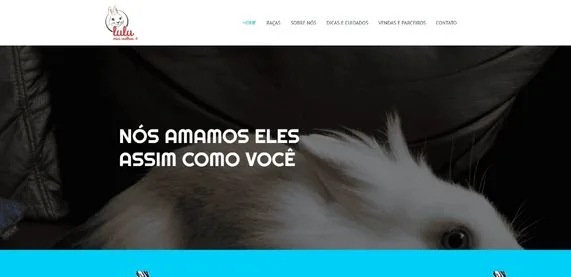 Redesign de Websites