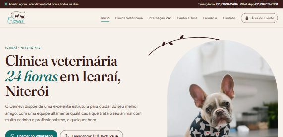 Site CEMEVI desenvolvido pela Niterói Web Design
